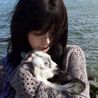 大熊猫