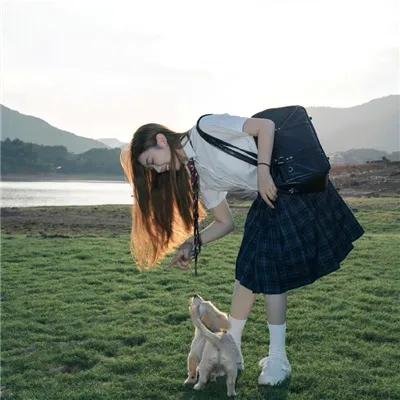滴血玫瑰